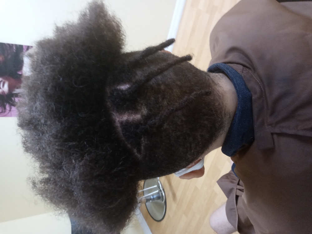 Starter Locs (comb-coiled)