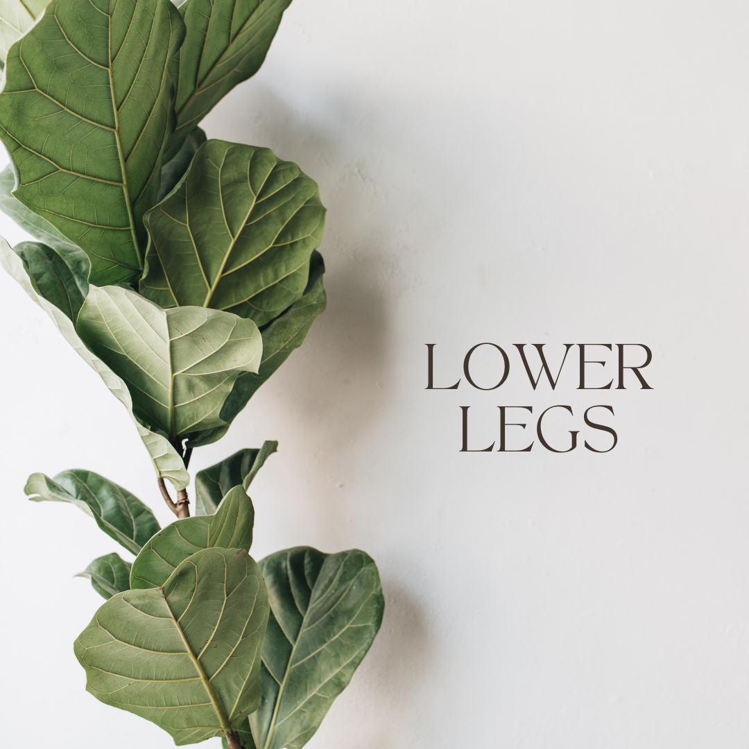 Lower Legs