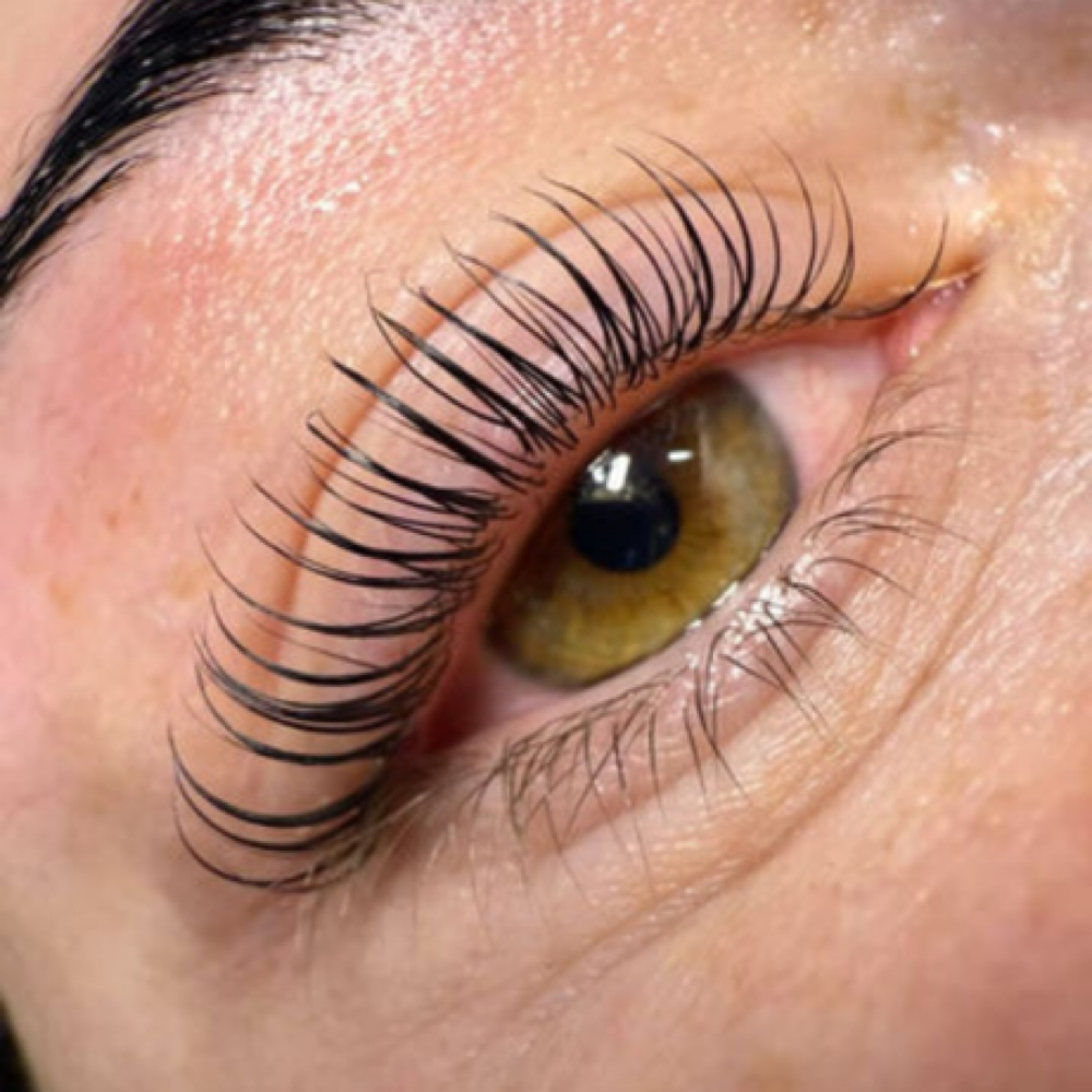 Korean Lash Lift + Tint at Blush Beauty Health and Wellness in New Orleans, LA