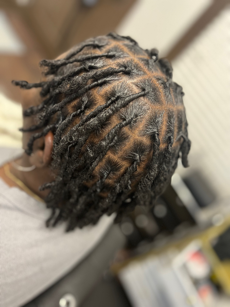 Coil Starter Locs(above Shoulders)