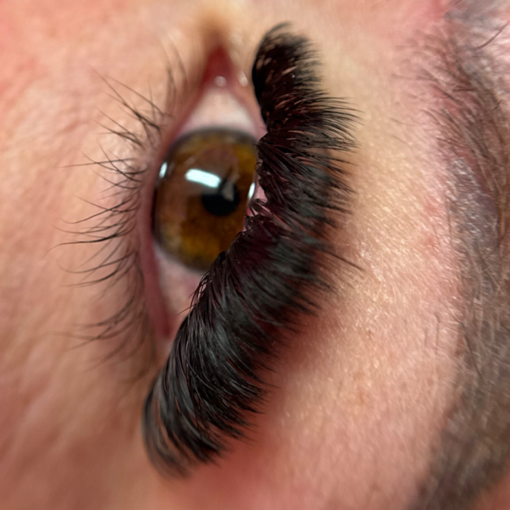 Signature Lash Full Set- Any Style at Lash A Queen Beauty Bar in Brooksville, FL