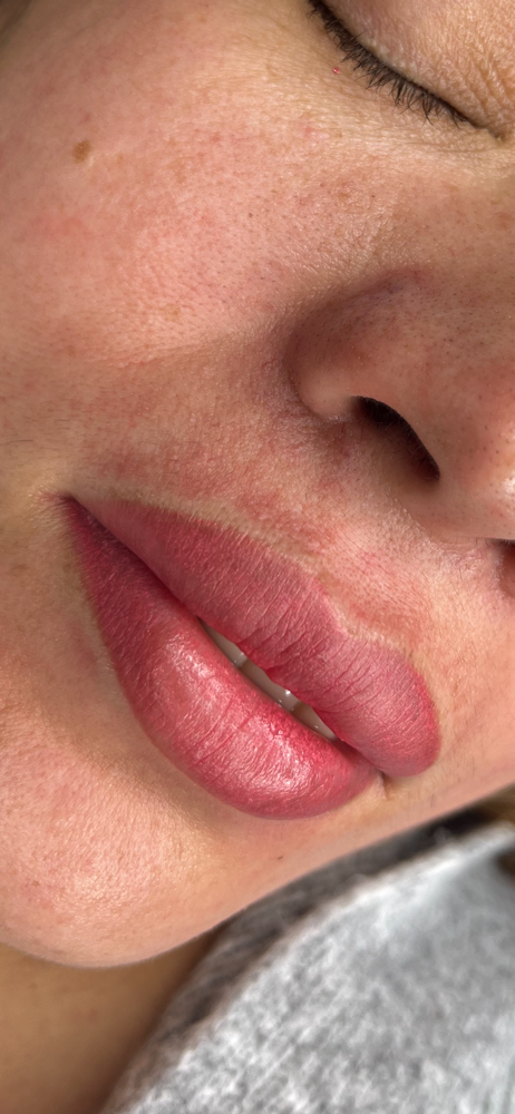 Lip Blush 3-11 Months Touch Up at Lupita’s Brow Bar LLC in Roswell, GA