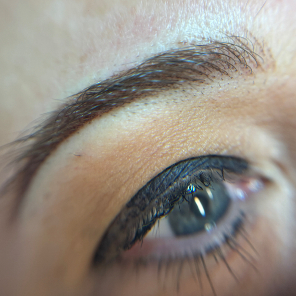 Strokes & Shade at Bloom Brows Co. in Highland Village, TX