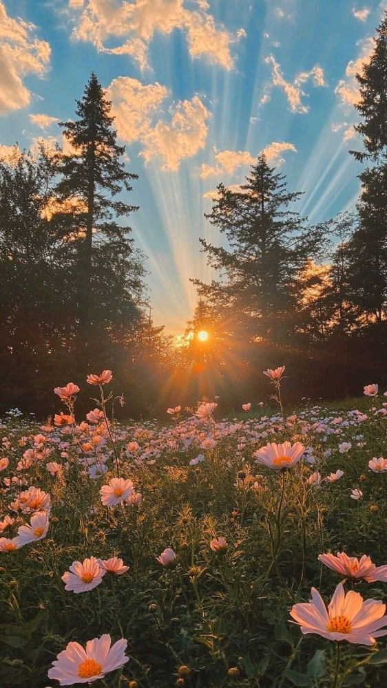 Hello June