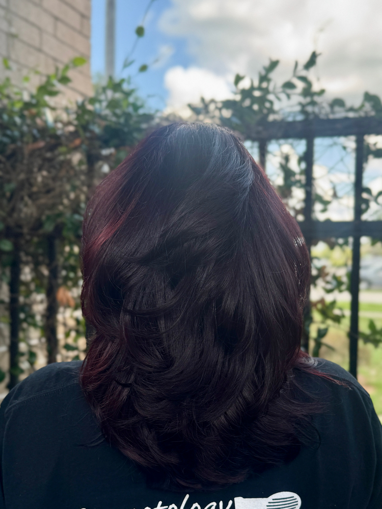 Blow Out + Silk Press