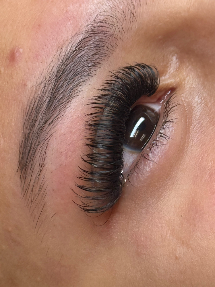 Eyelash Extensions Volumen