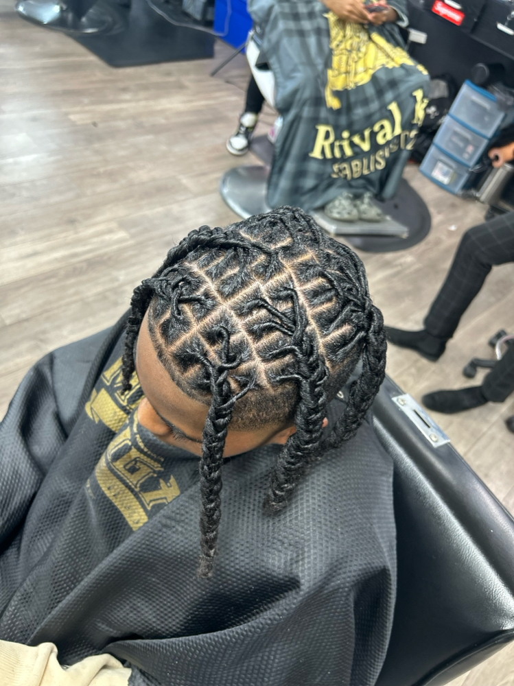 Starter Locs