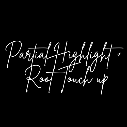 Partial Highlight + Root Touch Up