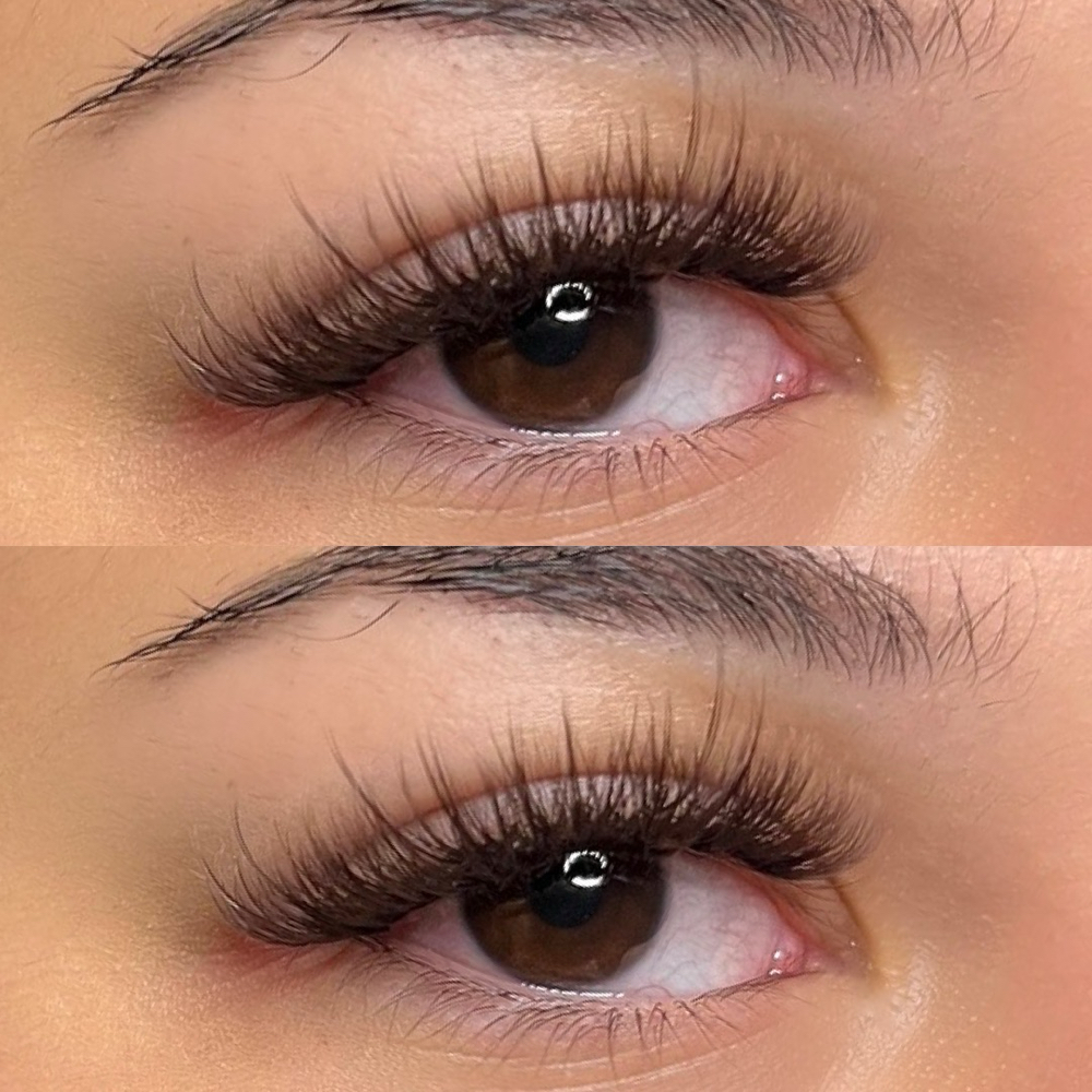 Feather Set | Hybrid