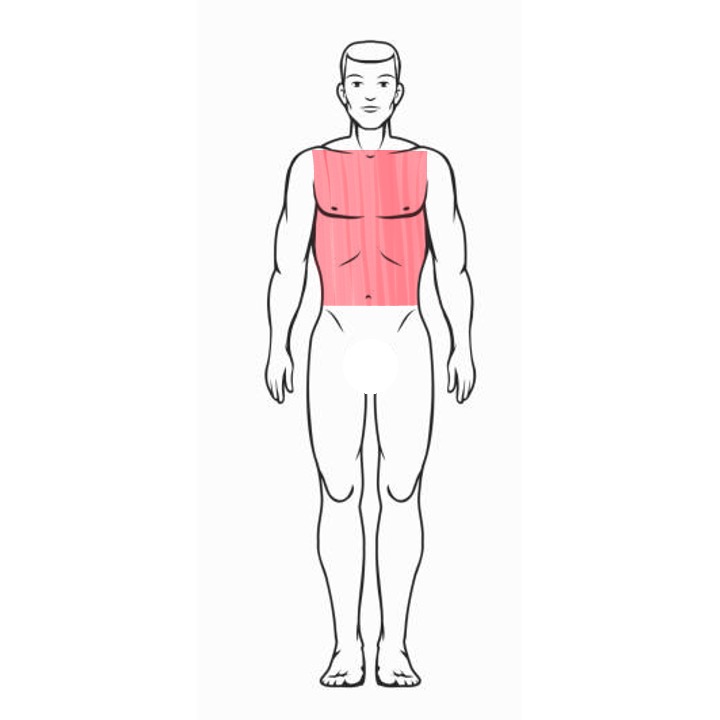 Chest