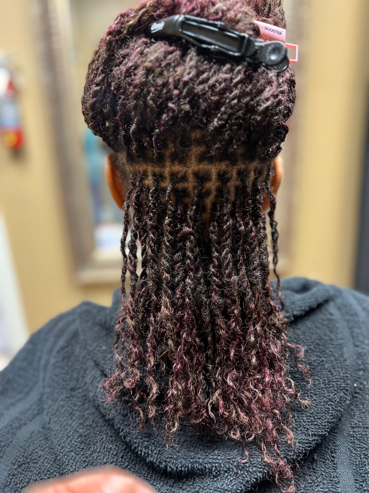 Micro Loc Twist/Braid Extensions