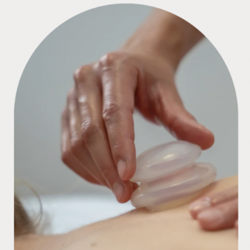 Cupping (Add-on) at Serene Hands Bodywork in Troy, MI
