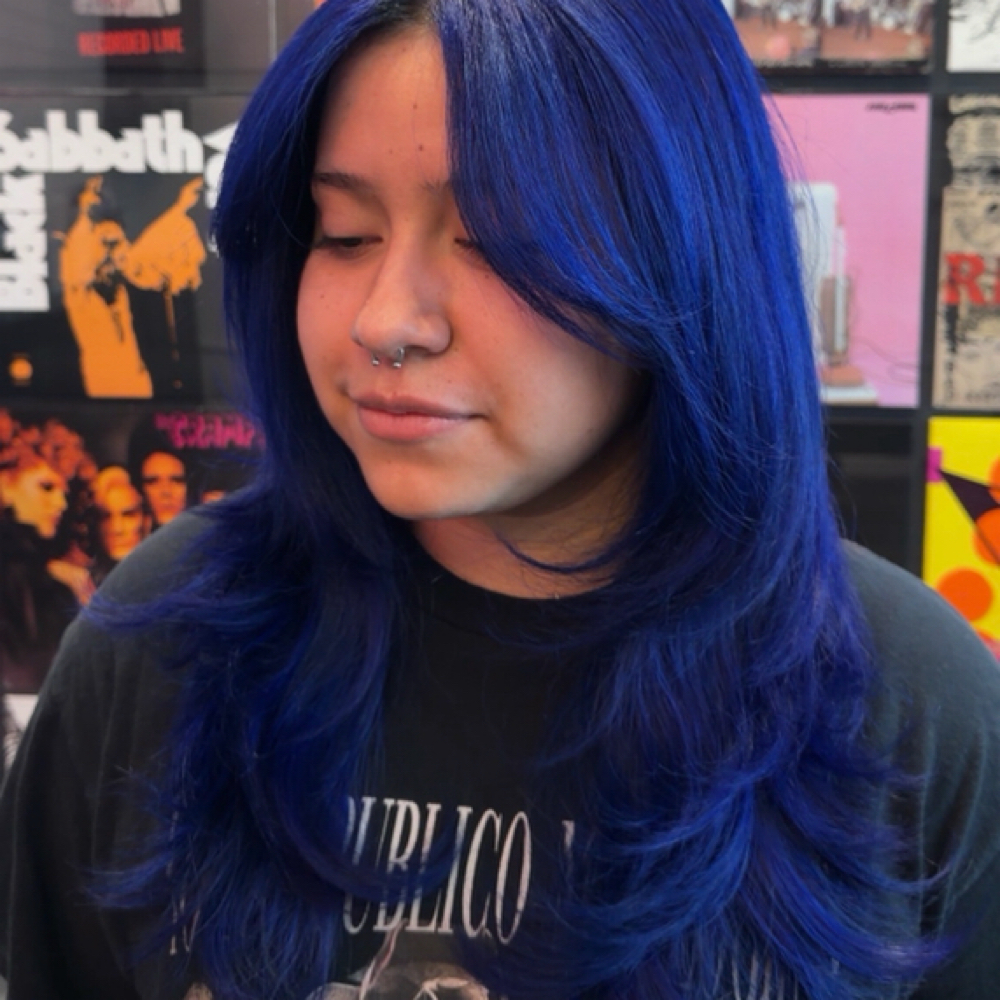 Fantasy Root Touch Up & Rebalance at Blendz by Benz in Vista, CA