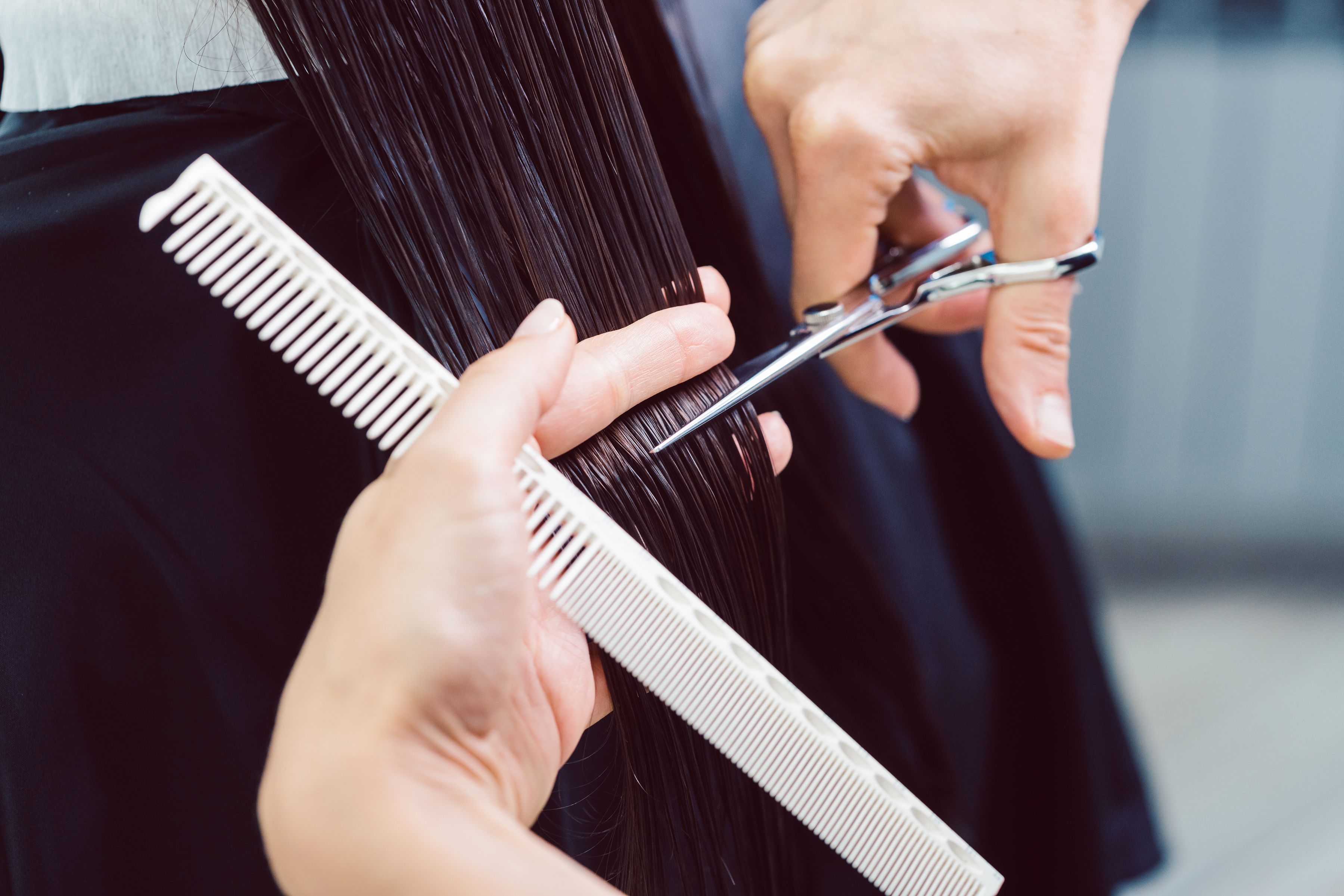 Women's Haircut