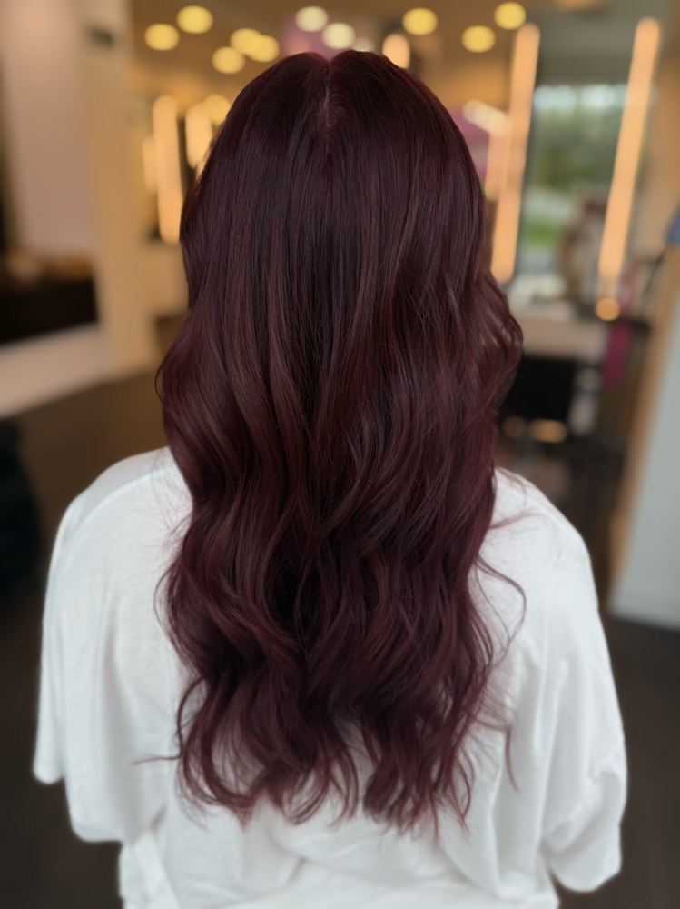 All over color at Midwestern Manes in Madison, WI