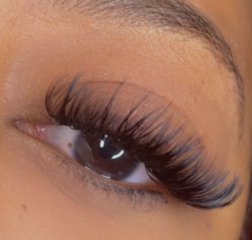 Individual/Cluster Lashes