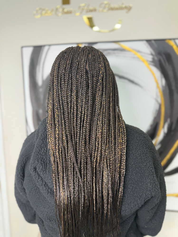 Small Boxbraids at Total Class Hair Braiding in Marietta, GA