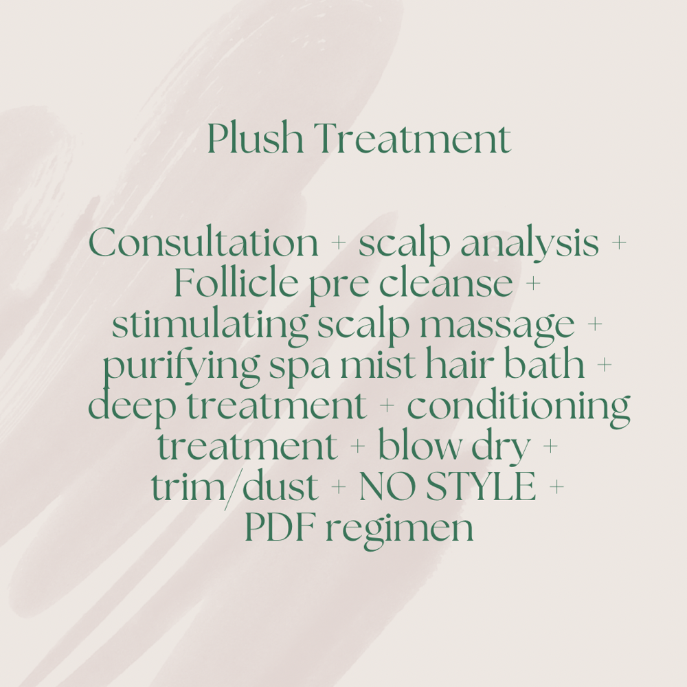 Plush Treatment + Blow Dry