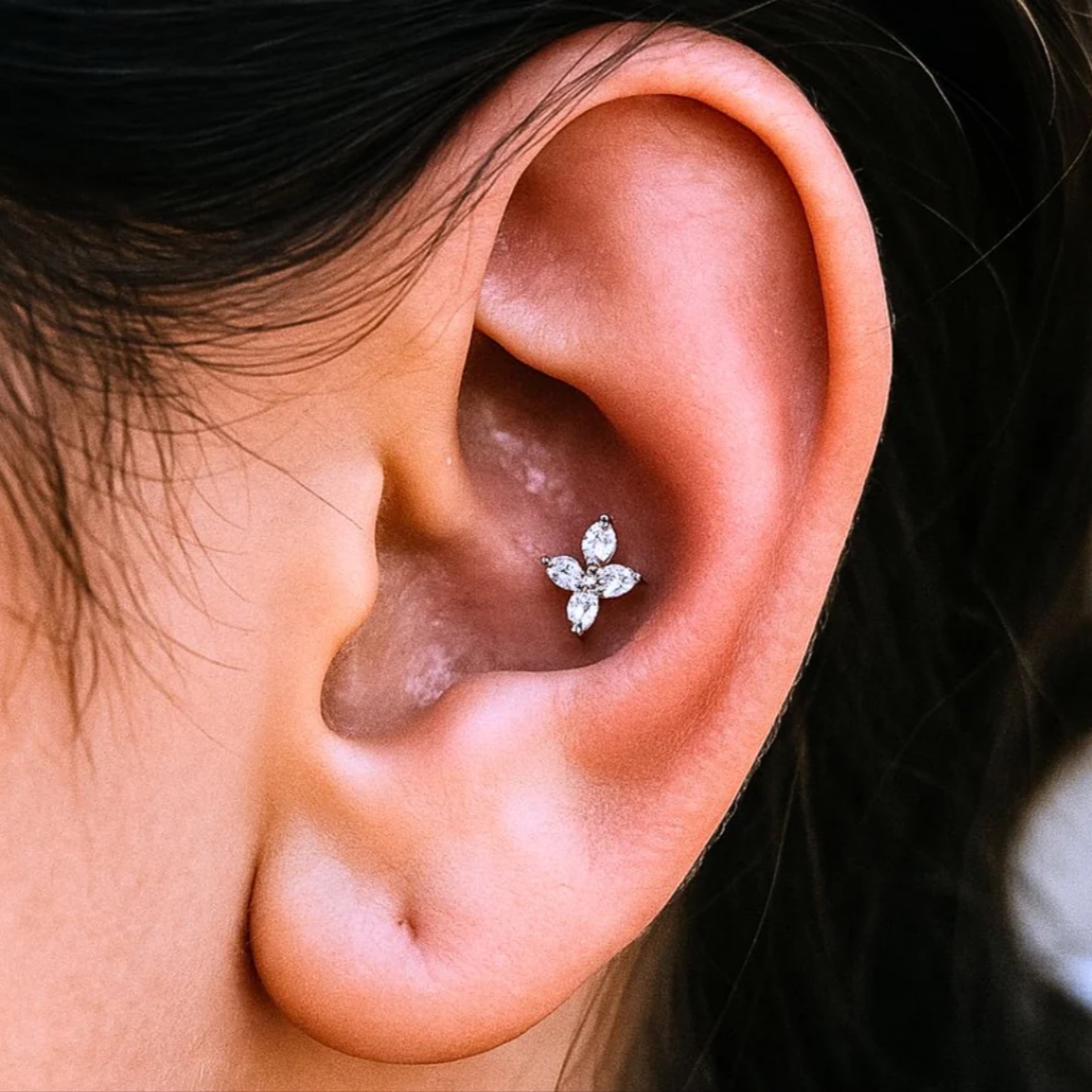Conch piercing at Piercing by Dee in Santa Ana, CA