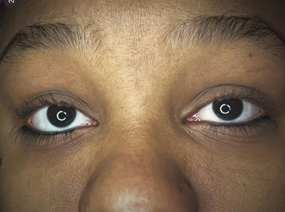 Bottom Cluster Lashes