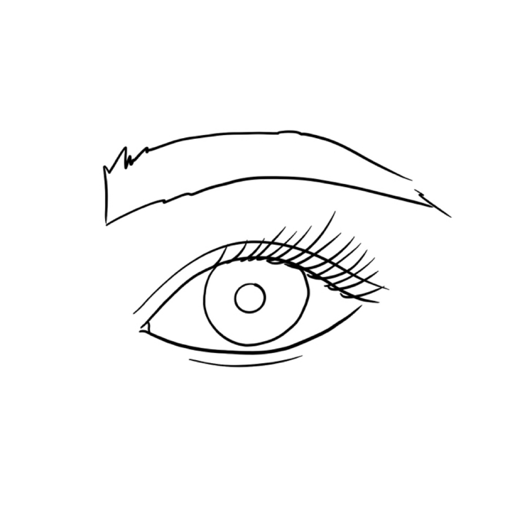 The Delux Eyebrow
