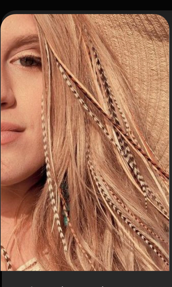 Rooster Feathers
