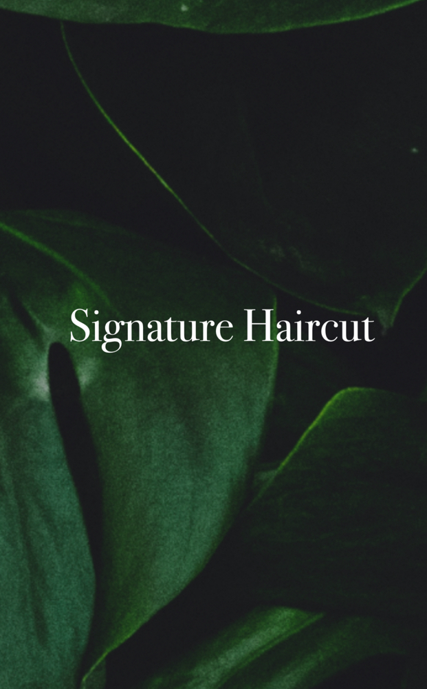 Signature Haircut at Anestie Beauty Lounge in Franklin Square, NY