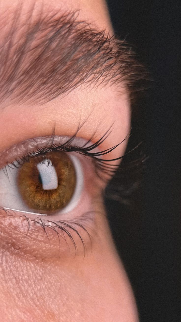 Lash Lift and Tint