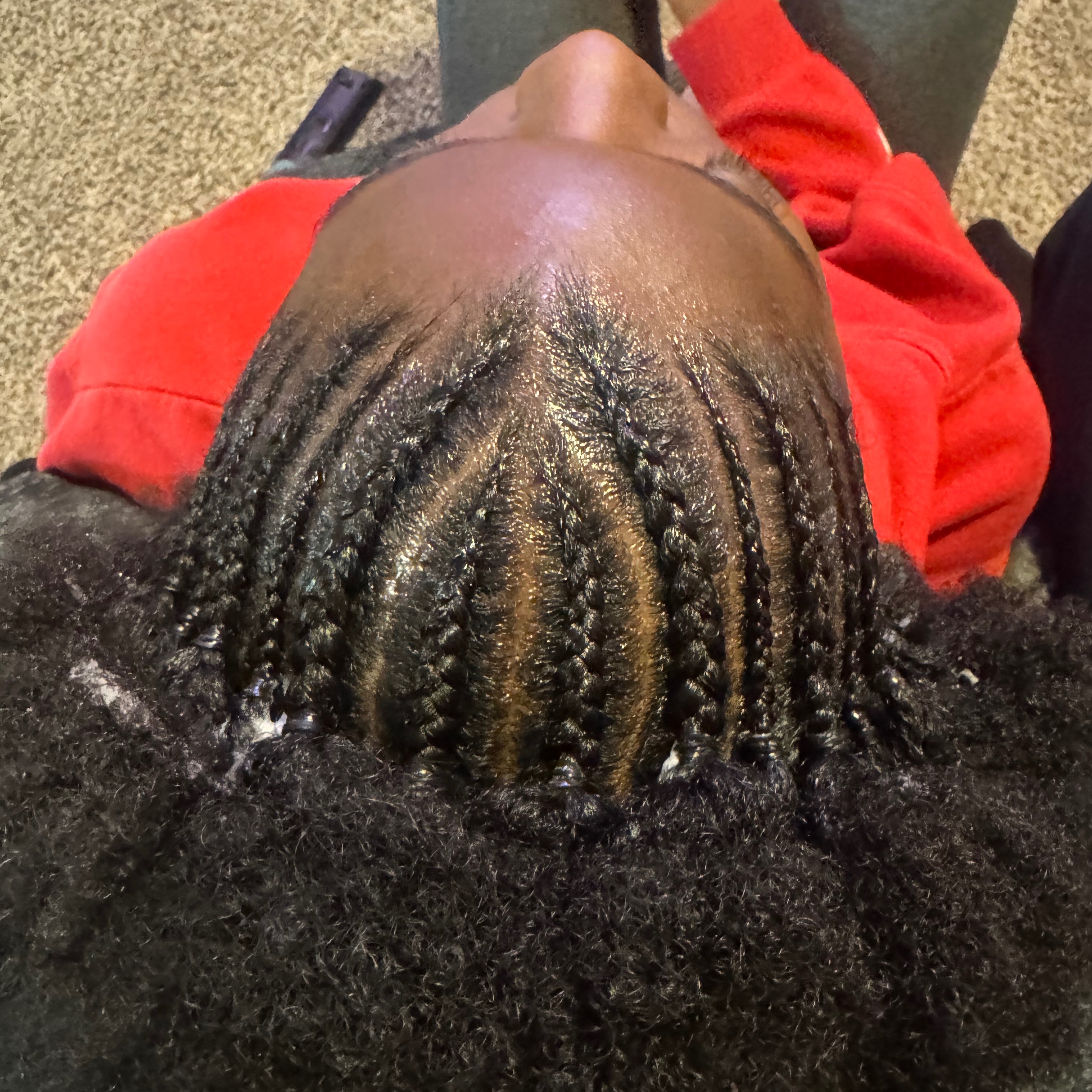 Fulani braids at Blended Edge Salon in Great Falls, MT