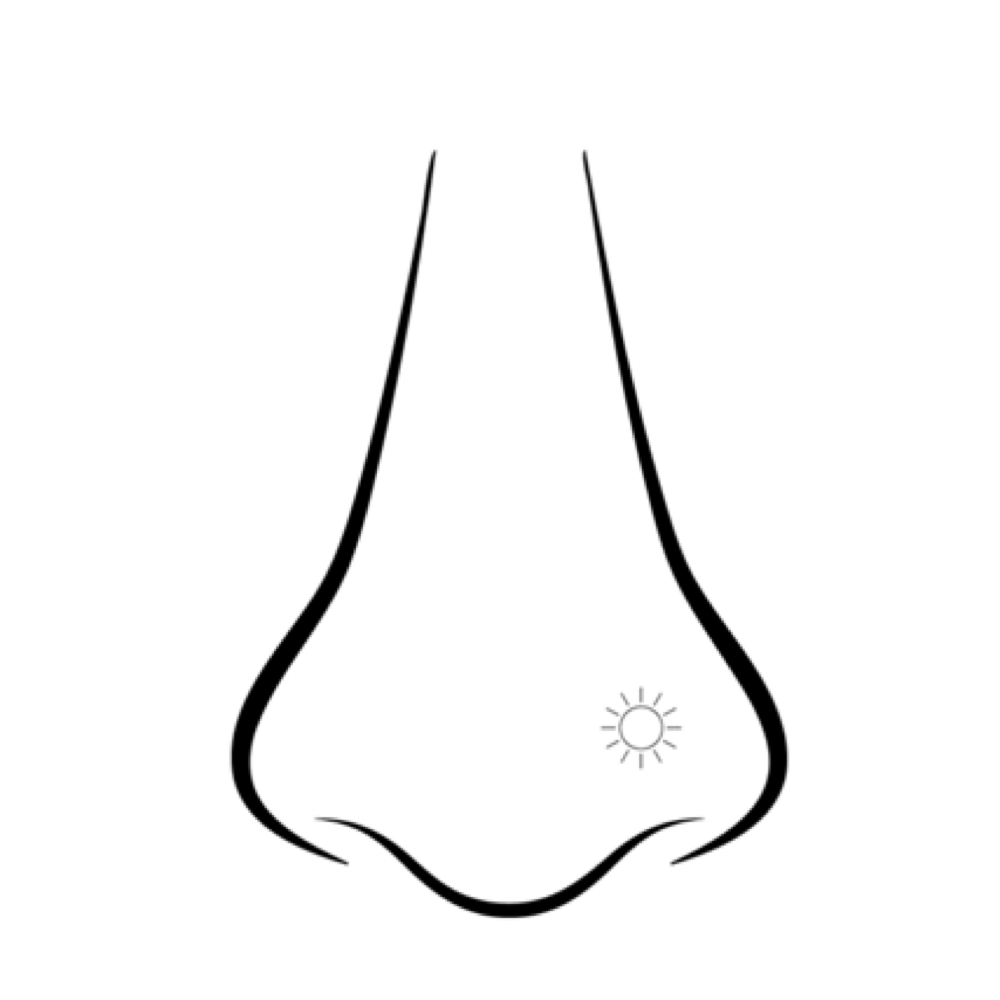 NOSE / NOSTRIL PIERCING at Golden Hour Cosmetic Tattoo & Piercing in Melbourne, FL