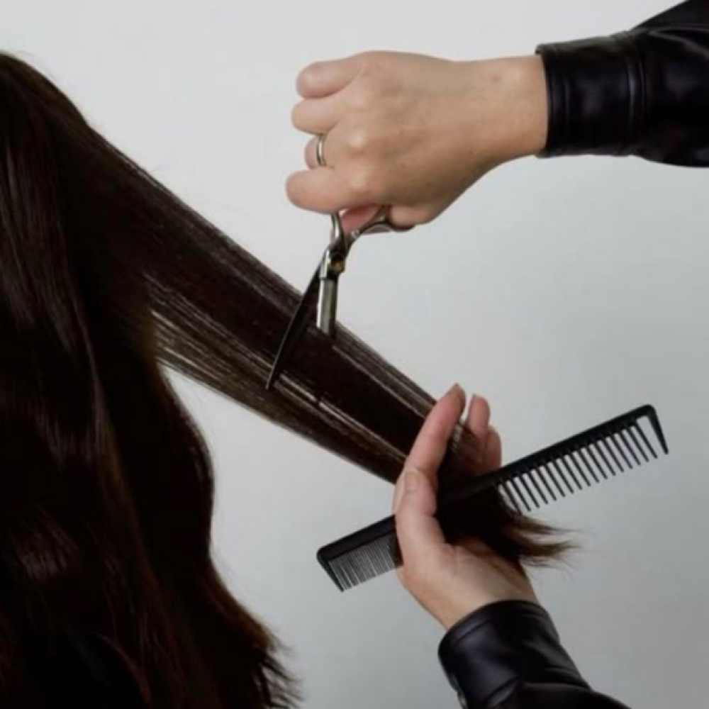Women’s Haircut at Hair Refinery - Samantha P Thach in Clovis, CA