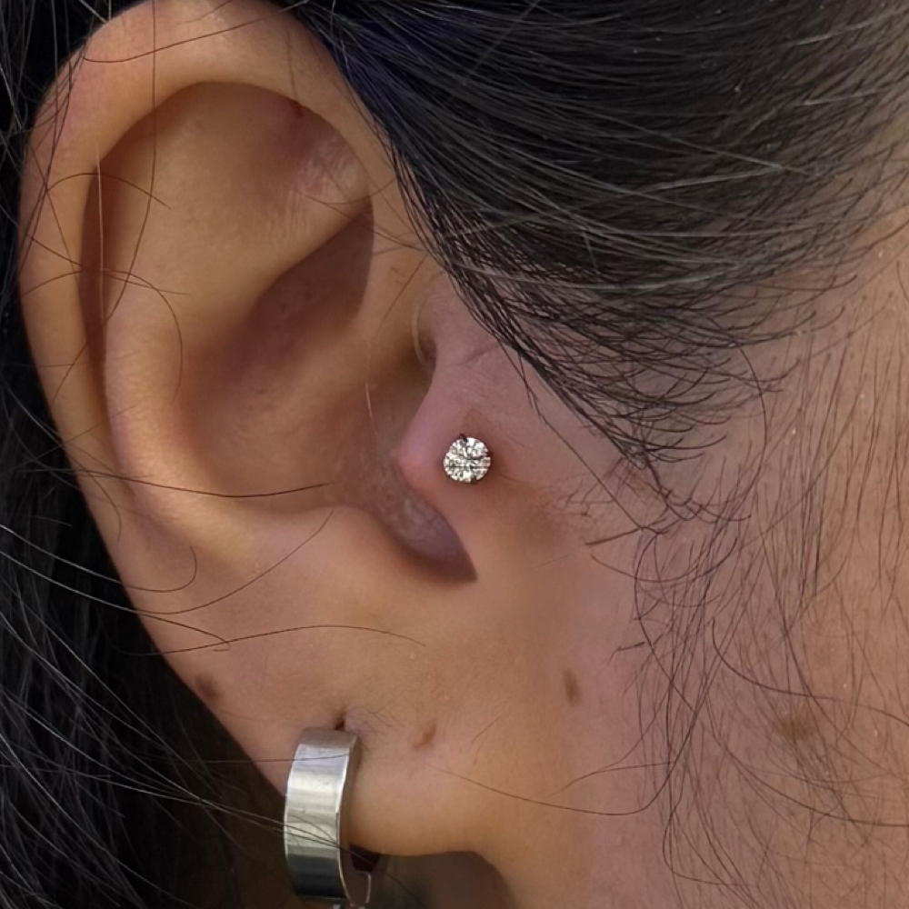 Tragus at PiercingSiren in Waukegan, IL