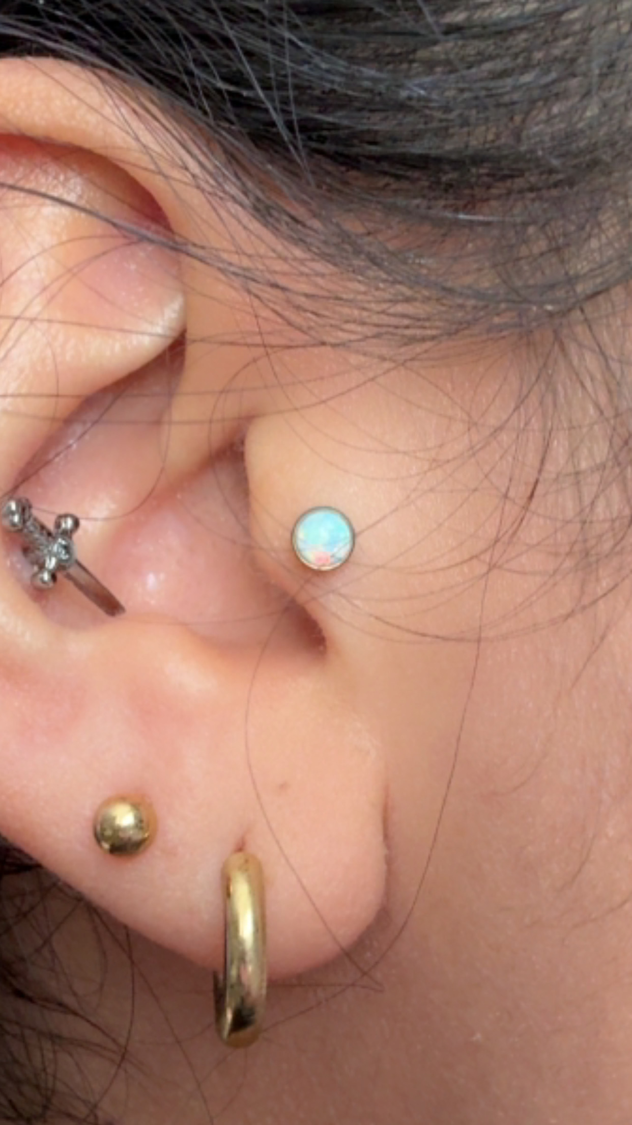 Tragus
