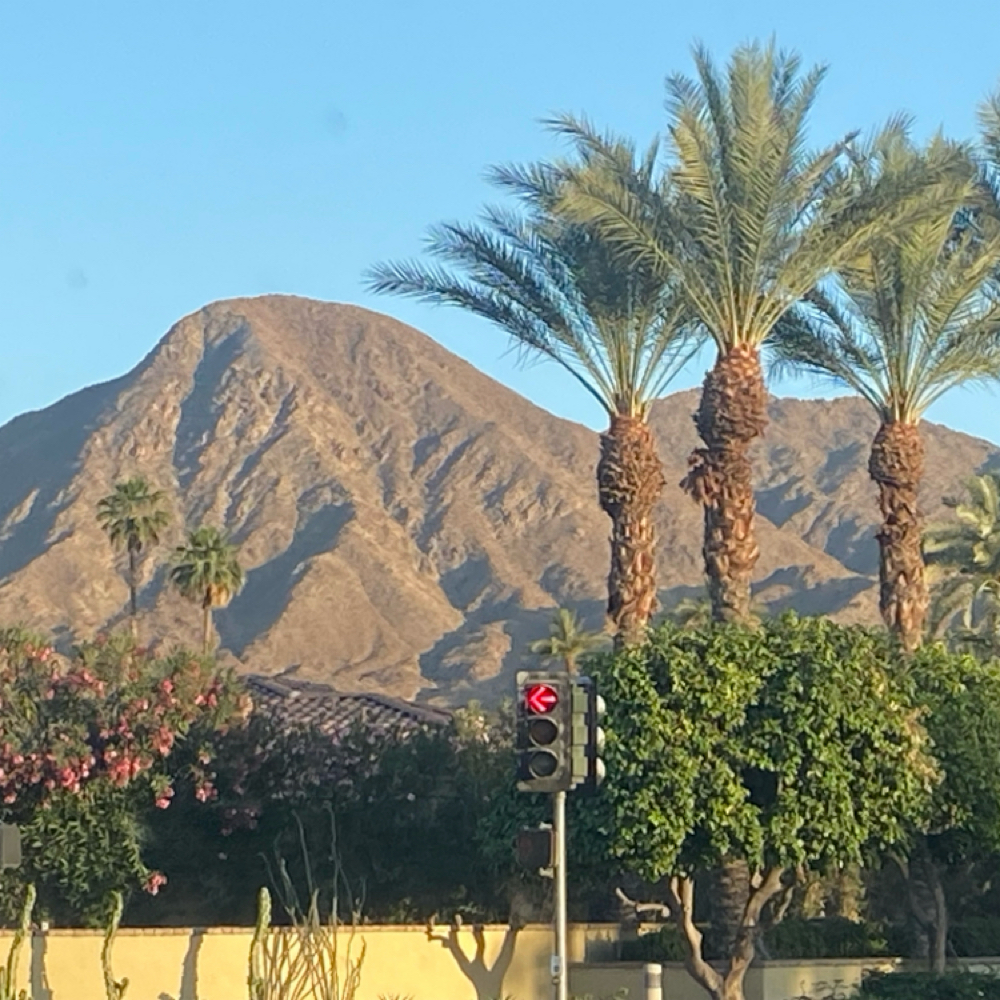 Toner Without Color Service at Indigo Salon @ Beaumont in Lexington, KY