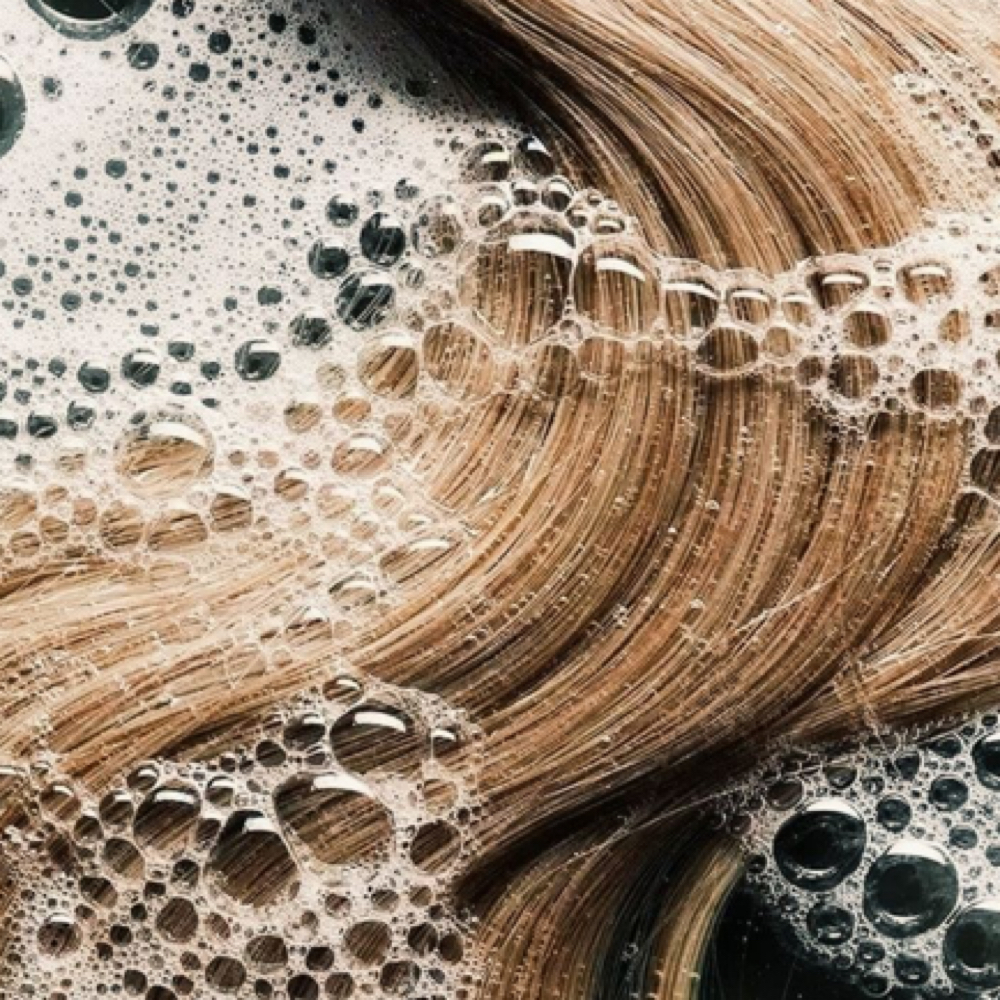 Shampoo and Blowout at Studio Blonde, LLC in Tyler, TX