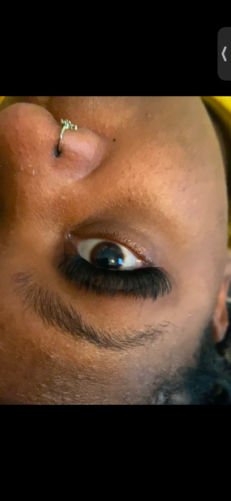Lash Clusters