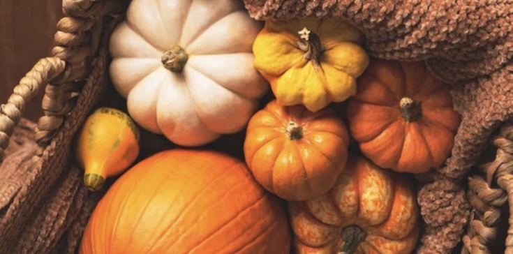 Warm Pumpkin Pie Facial (Nov)