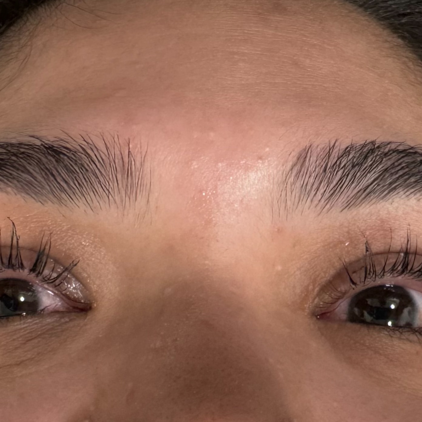 Lash lift and Brows at Ona HeadSpa in Walnut Creek, CA