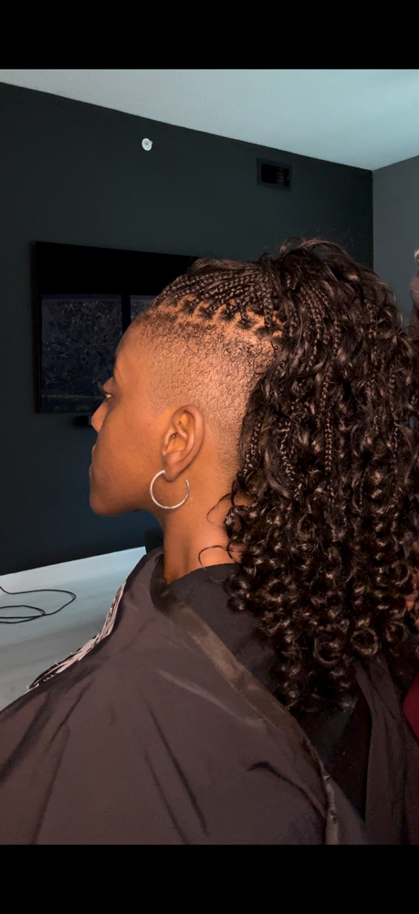 Braids/Twist Shaved Sides