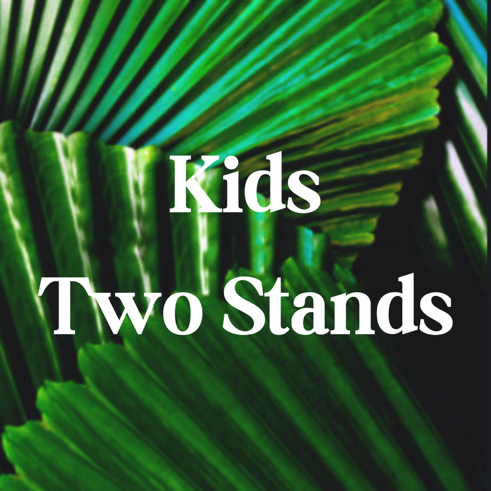 Kids Retwist and Two Strands