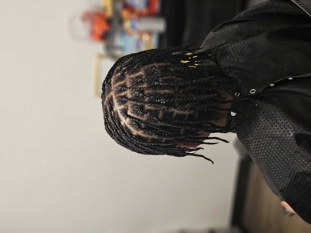 Starter Locs