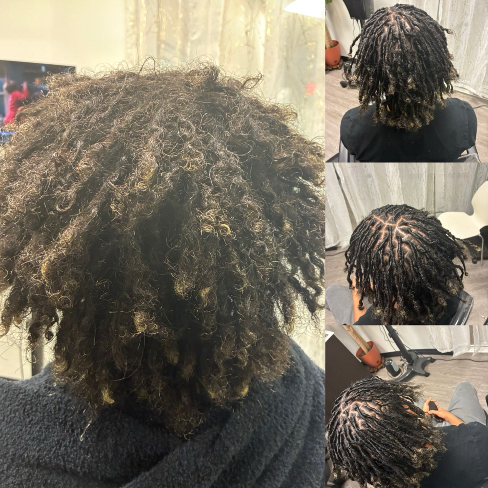 Freeform to Traditional Loc Convers at Naturally twisted in Danbury, CT