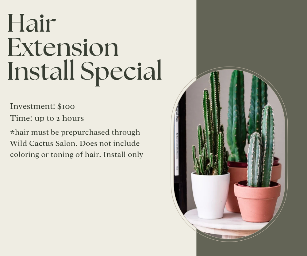Hair Extension Install Special