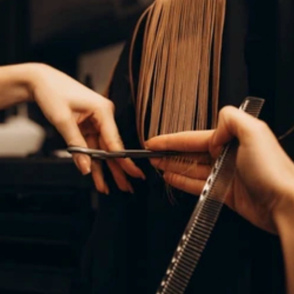 Womens Haircut at Moss and Mane-HARRIMAN Location in Harriman, TN