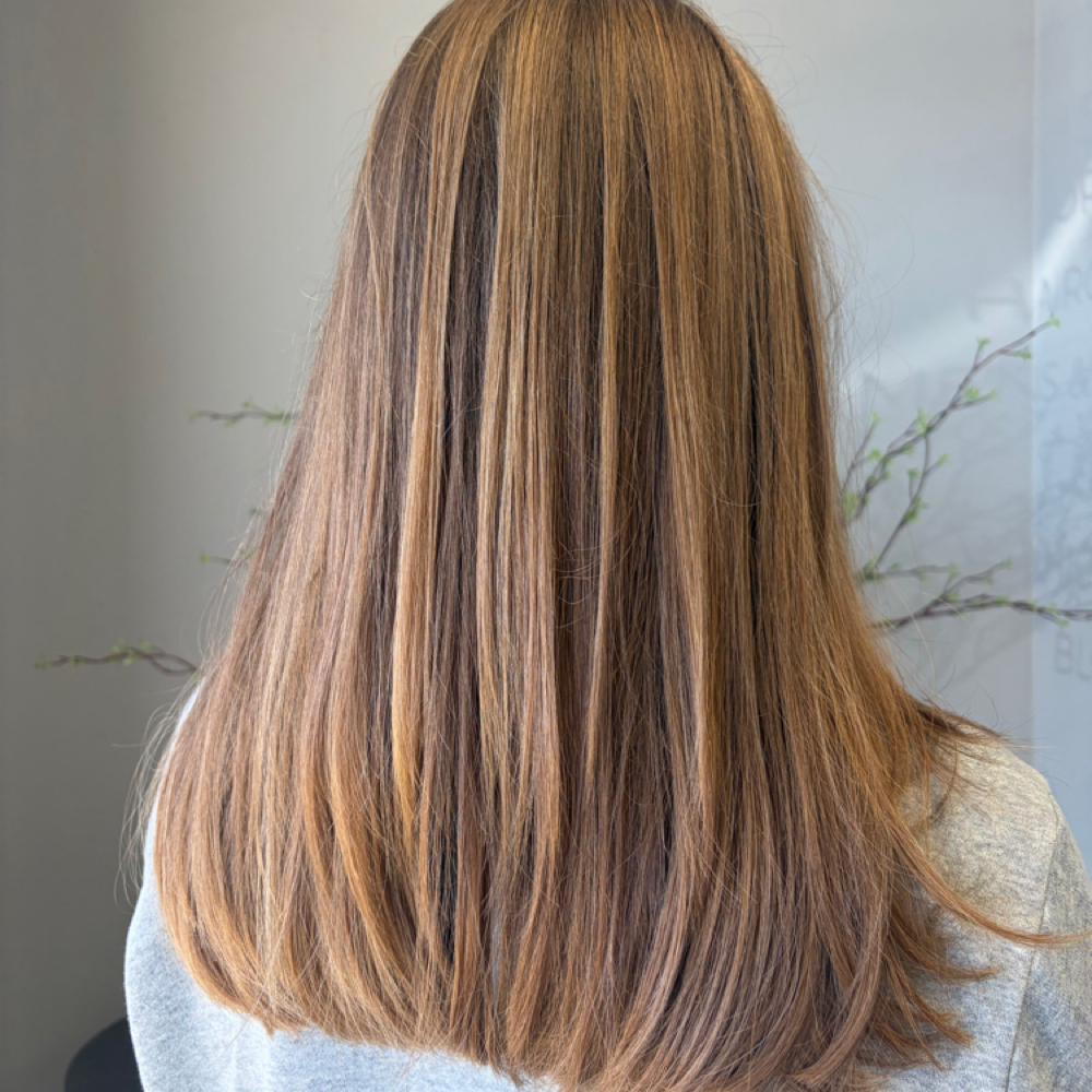 HAIRCUT at Vera Luna Beauty Collective in Rapid City, SD
