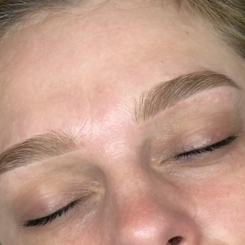 Brow Tint Only at The Goddess Edit Beauty Lounge in Sterling, VA