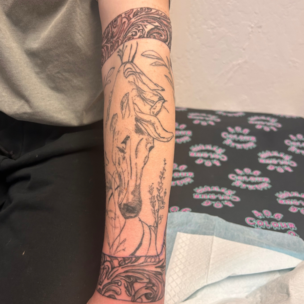 Tattoo BY THE HOUR at 406 Colour Studio in Butte, MT