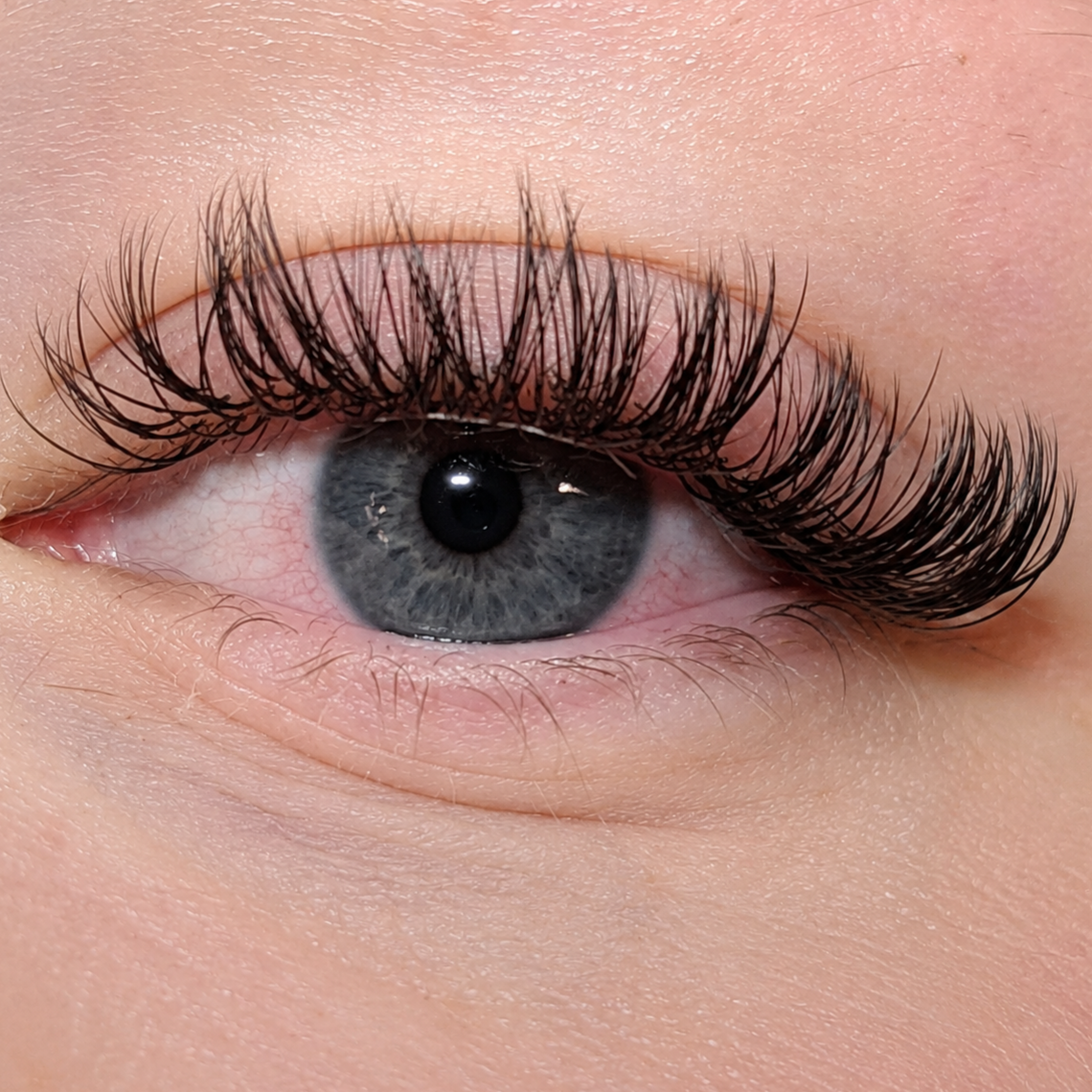 Bombshell Hybrid Special at Jazzy Lash Co. in Lubbock, TX