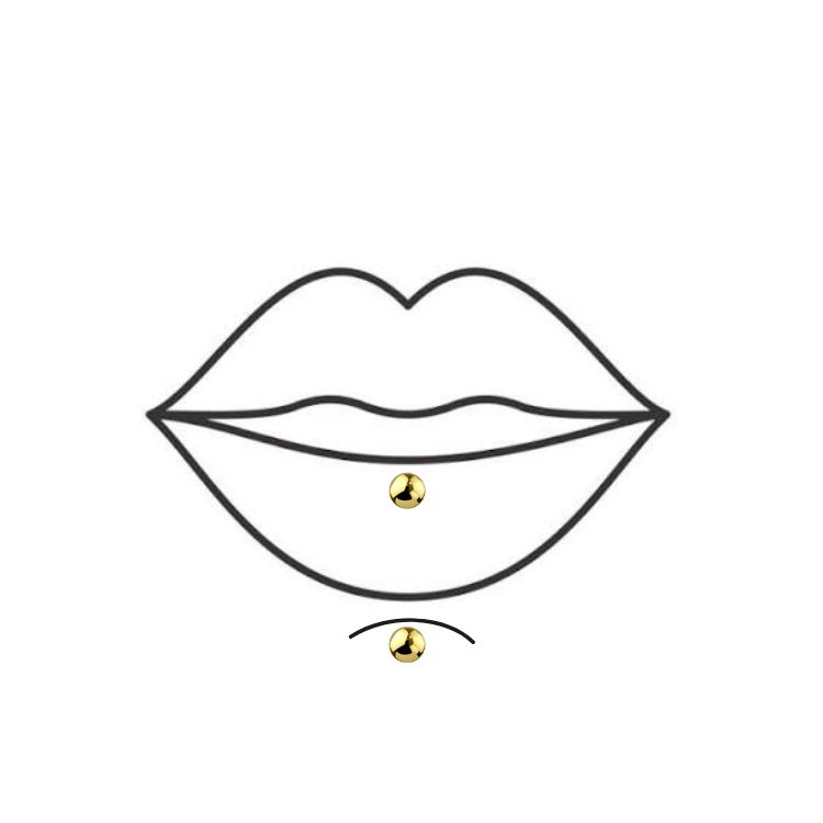 Verticle Labret (Jewelry Included)
