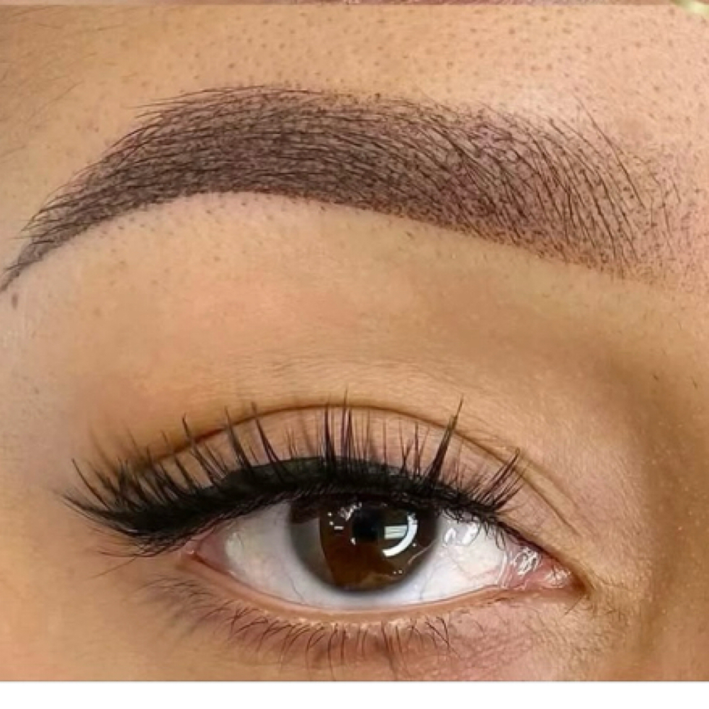 Touch-up One Year $250 at Microstroke Brows by Alice in Rowlett, TX